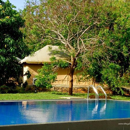Отель The Yala Adventure Тиссамахарама Экстерьер фото