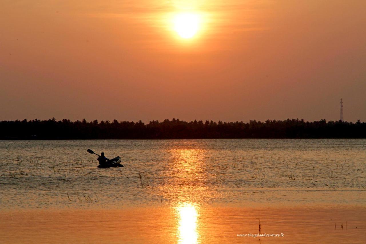 Отель The Yala Adventure Тиссамахарама Экстерьер фото