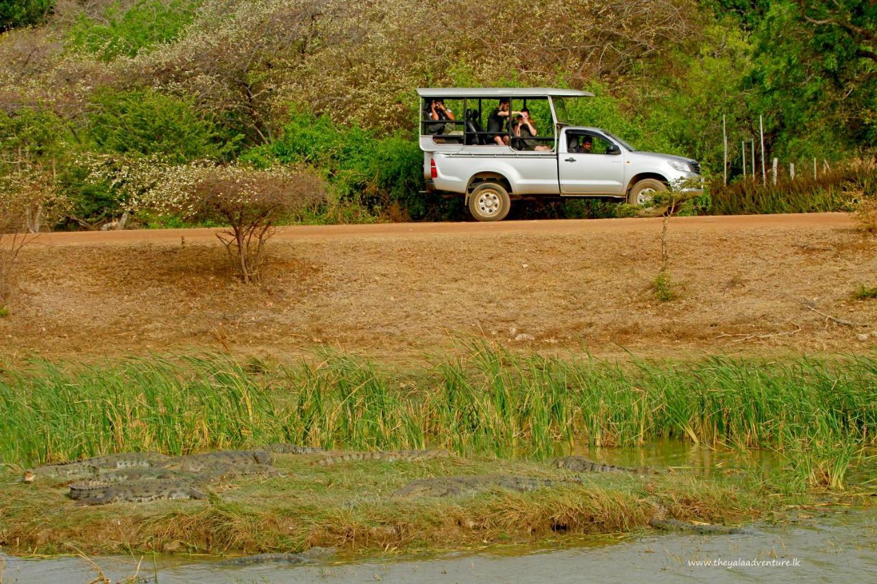 Отель The Yala Adventure Тиссамахарама Экстерьер фото